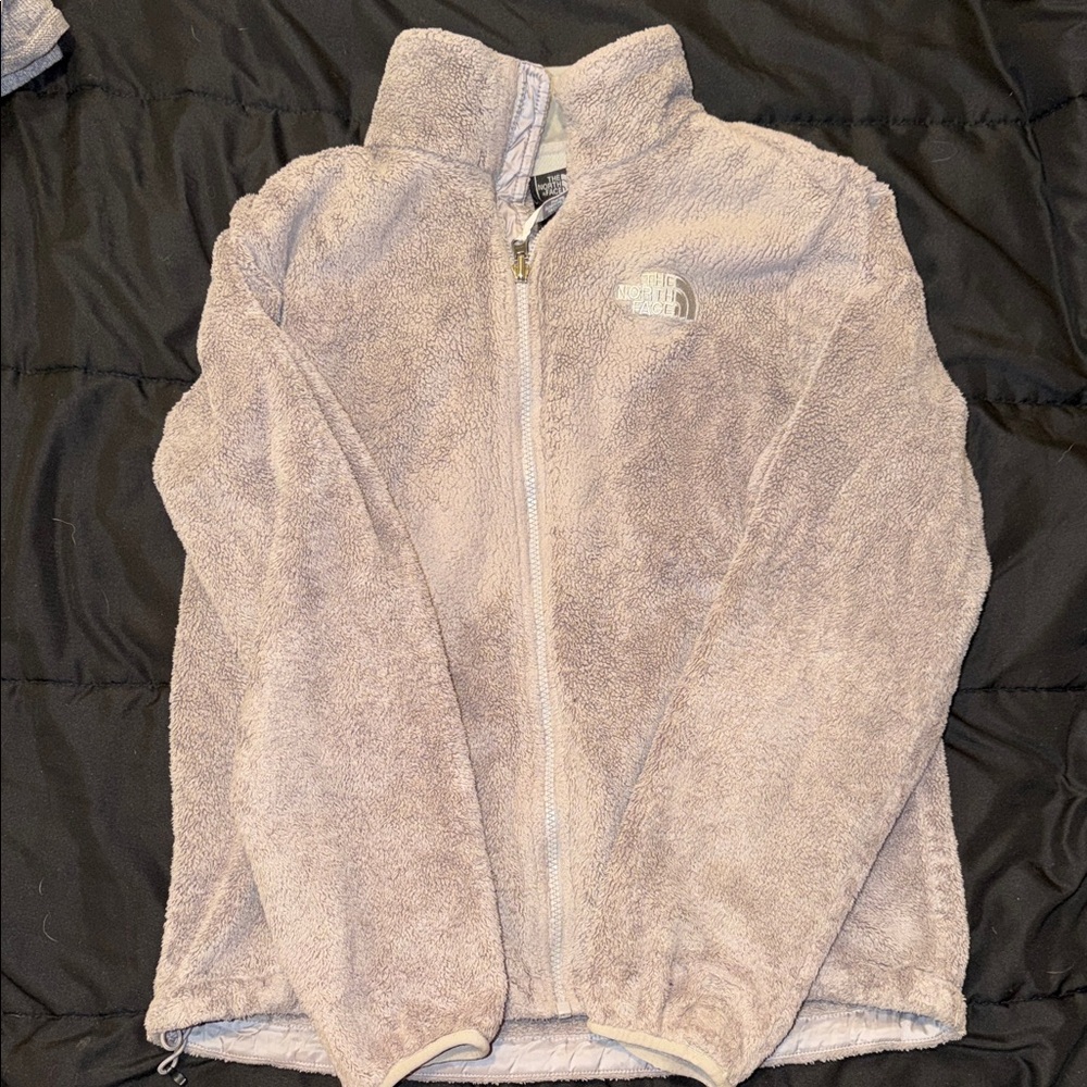 The North Face Light Gray Fleece Jacket